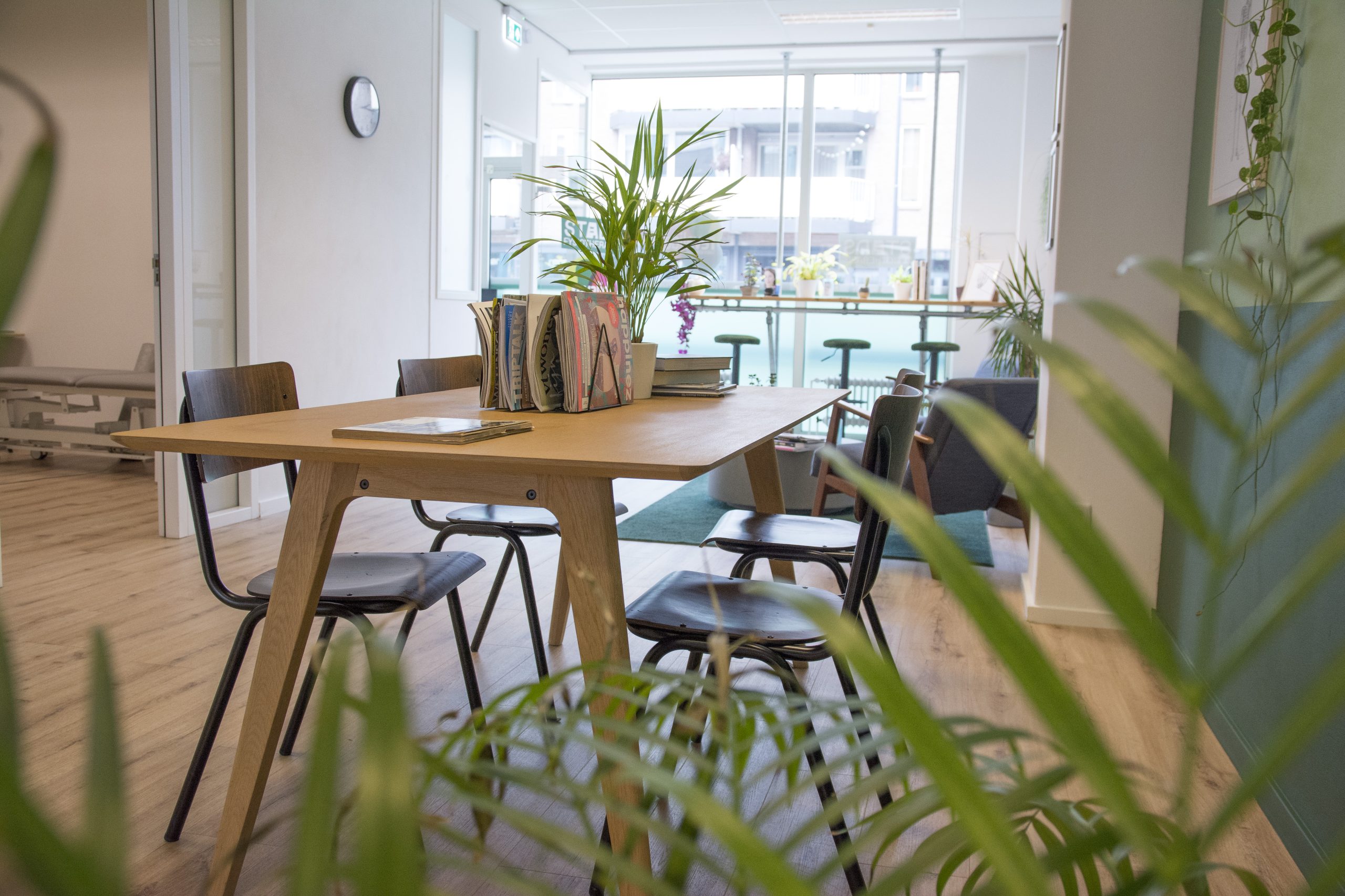 Wachtruimte met tijdschriften veel planten en daglicht bij STADS Fysiotherapie